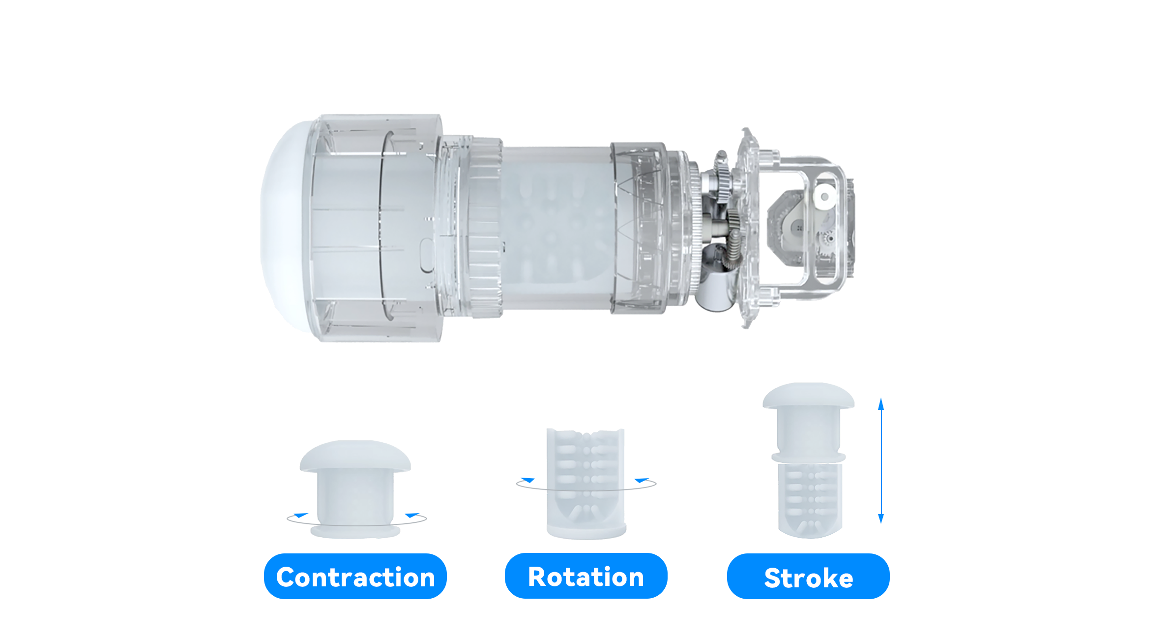 SyncBot: Why is Syncbot the cheapest sextoy ever